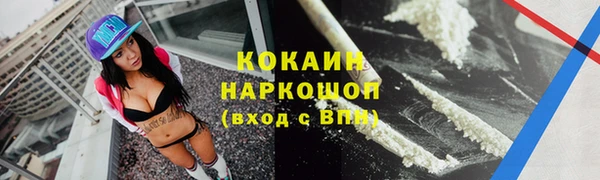 мескалин Бородино