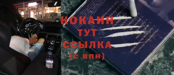 бошки Верея