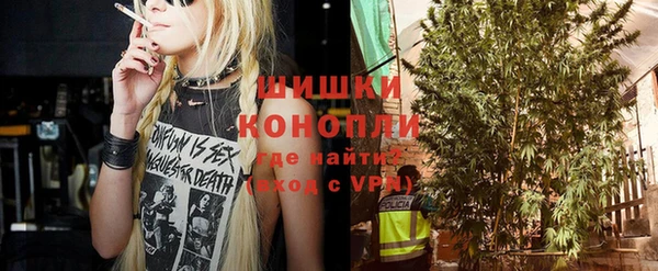 амф Бронницы