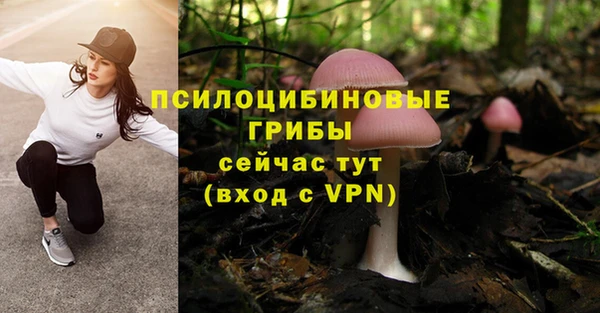 таблы Ступино