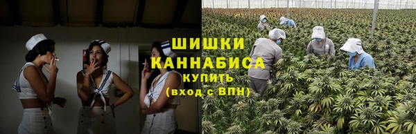 ГАЛЛЮЦИНОГЕННЫЕ ГРИБЫ Верхнеуральск