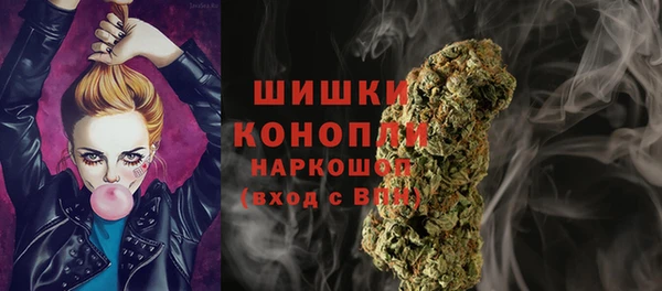 PSILOCYBIN Строитель