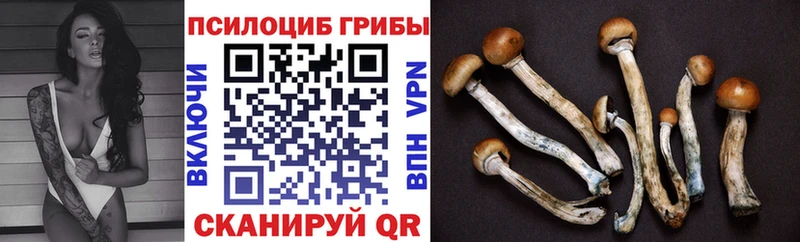 Псилоцибиновые грибы Cubensis  Льгов 